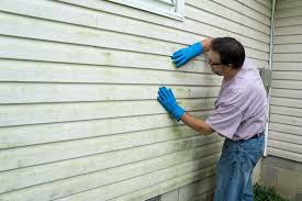 Best Siding for Commercial Buildings  in Pinellas Park, FL